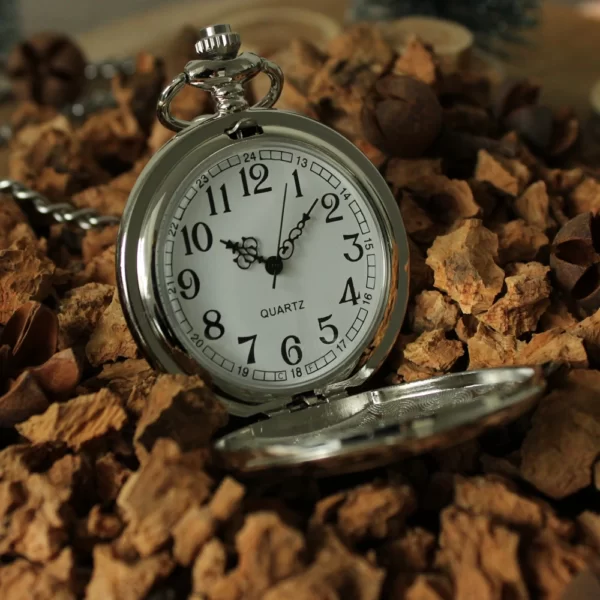 Zilveren zakhorloge met ketting – klassiek sfeerfoto