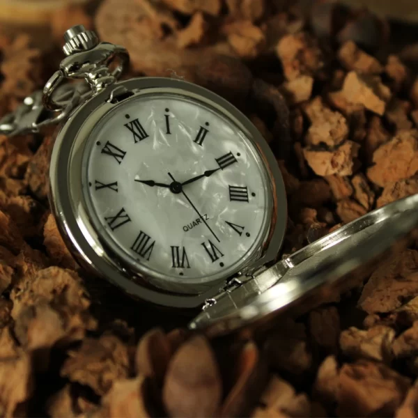 Zilveren zakhorloge met ketting – parelmoer sfeerfoto 2